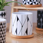 Ebony & Ivory Ceramic Planter With Coaster Set Of 8