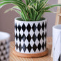 Black And White Planter - Indoor planters and flower pots | Home decor items