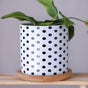 Black And White Planter - Indoor planters and flower pots | Home decor items