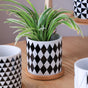 Black And White Planter - Indoor planters and flower pots | Home decor items