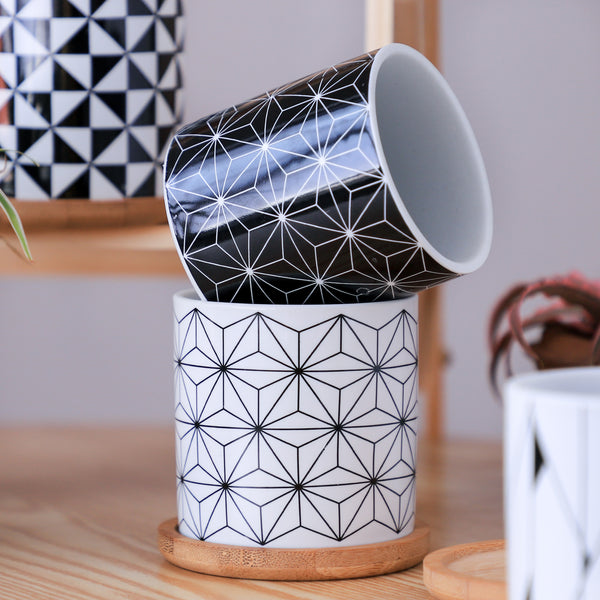 Ebony & Ivory Ceramic Planter With Coaster Set Of 8
