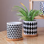 Black And White Planter - Indoor planters and flower pots | Home decor items