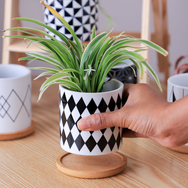 Black And White Planter - Indoor planters and flower pots | Home decor items