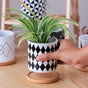 Black And White Planter - Indoor planters and flower pots | Home decor items