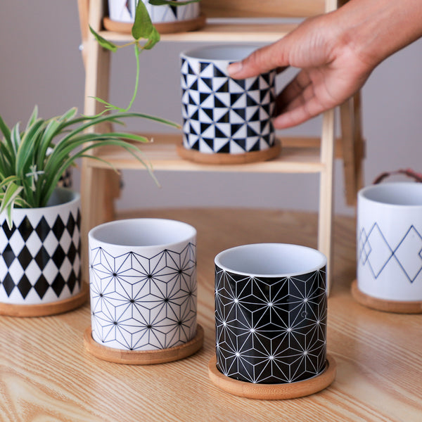 Black And White Planter Online - Premium Planter | Nestasia Black And White Planter Online - Premium Planter | Nestasia