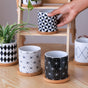 Black And White Planter - Indoor planters and flower pots | Home decor items