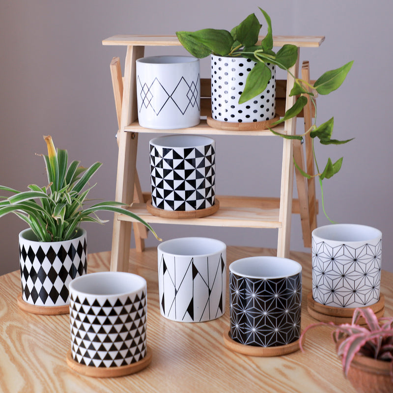 black and white plant pot indoor Black And White Planter Online - Premium Planter