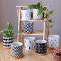 Black And White Planter - Indoor planters and flower pots | Home decor items