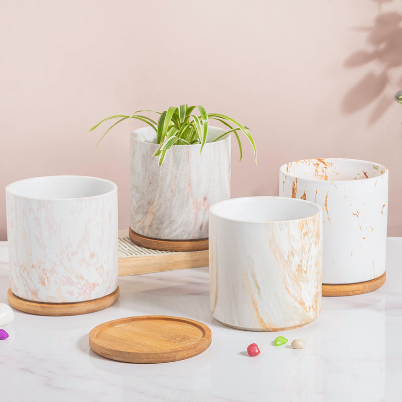 Carrara Brown Streak White Ceramic Planter With Wooden Coaster - Indoor planters and flower pots | Home decor items