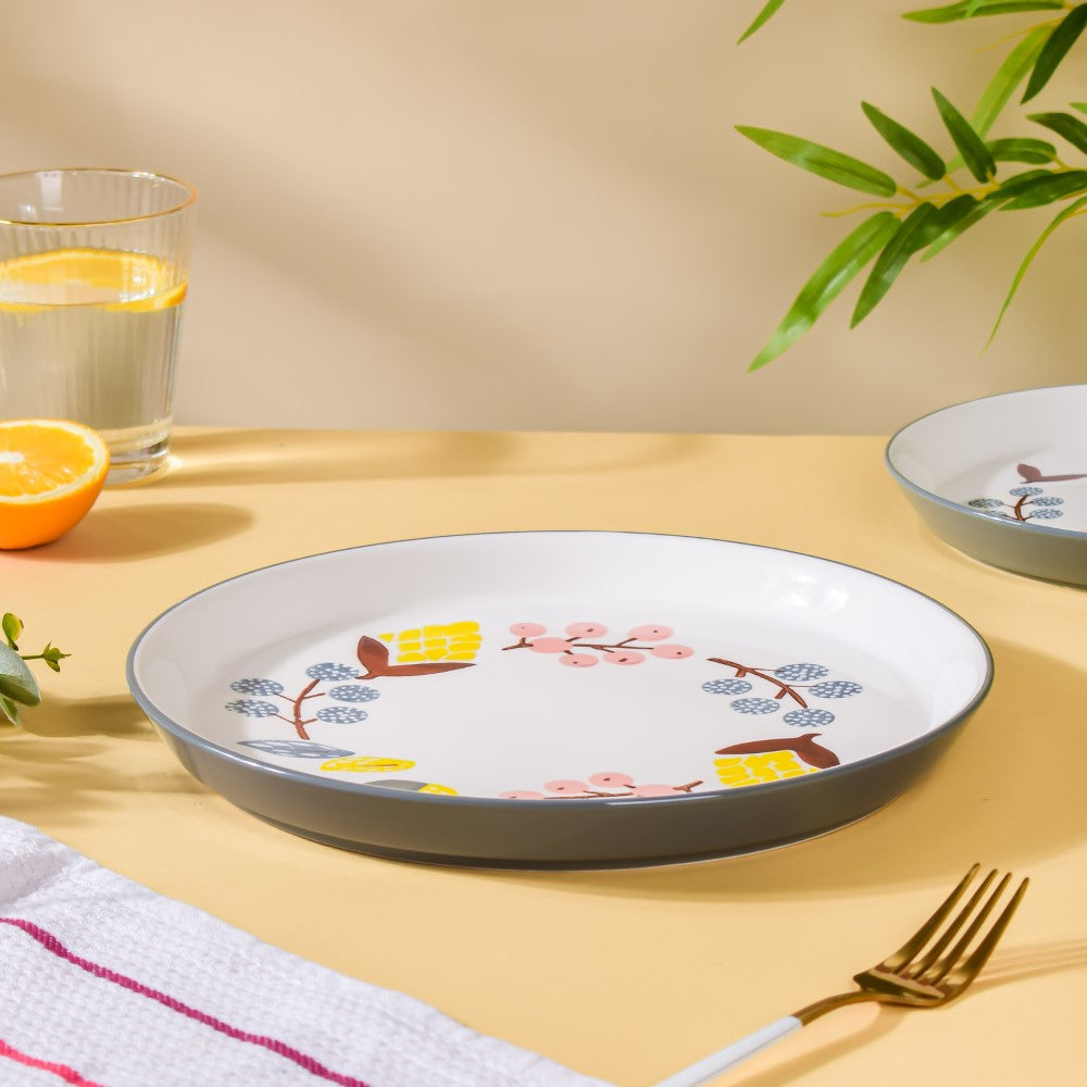 10 inch dinner plates sale