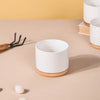 White Ceramic Planter Cylinder Set Of 4