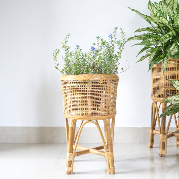 Cane Planter Set - Indoor planters and flower pots | Home decor items