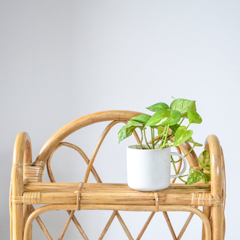 Cane Table Shelf - Wall shelf and floating shelf | Shop wall decoration & home decoration items