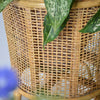 Cane Planter Set - Indoor planters and flower pots | Home decor items