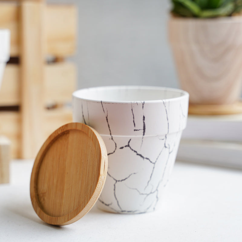 Ceramic Planter - Indoor planters and flower pots | Home decor items