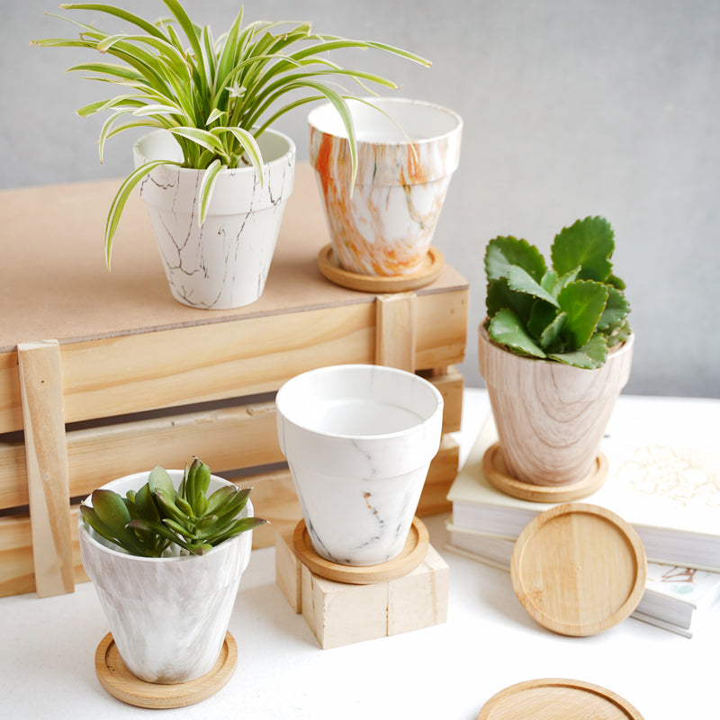 Ceramic Planter - Indoor planters and flower pots | Home decor items