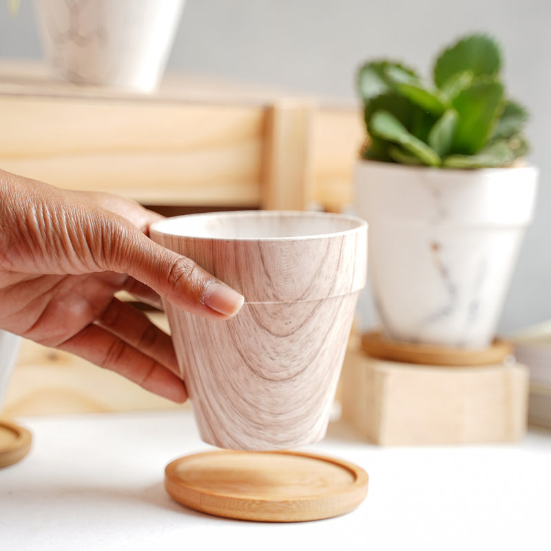 Ceramic Planter - Indoor planters and flower pots | Home decor items