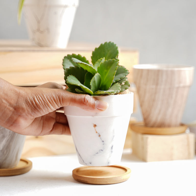 Ceramic Planter - Indoor planters and flower pots | Home decor items