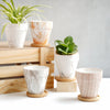 Ceramic Planter - Indoor planters and flower pots | Home decor items