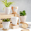 Ceramic Planter - Indoor planters and flower pots | Home decor items