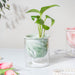 Modern Green Ceramic Planter With Glass Stand - Plant pot and plant stands | Room decor items