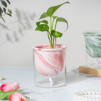 Modern Pink Ceramic Planter With Glass Stand - Plant pot and plant stands | Room decor items