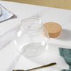 Airtight Glass Container Set of 2 - Jar