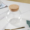 Airtight Glass Container Set of 2 - Jar