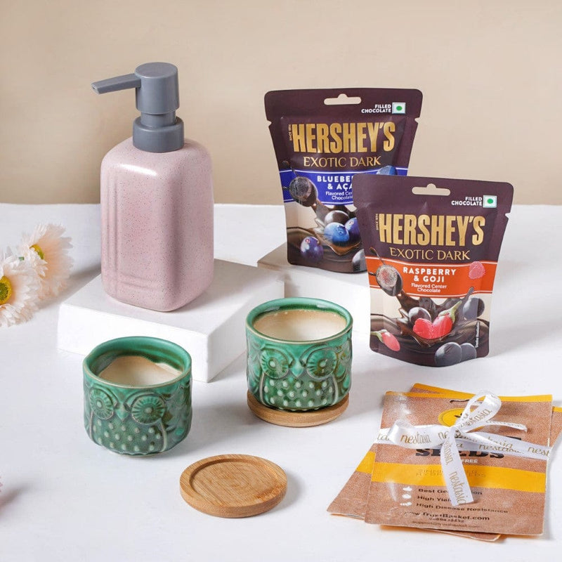 Dispenser And Planter Festive Gift Hamper Set Of 7