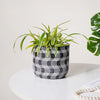 Black Wavy Checkered Pot - Indoor planters and flower pots | Home decor items