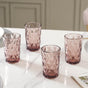 Double Wall Drinking Glass Set of 4