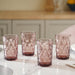 Double Wall Drinking Glass Set of 4