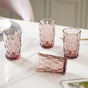 Double Wall Drinking Glass Set of 4