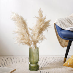 Pampas Grass For Decor - Natural and sustainable home decor products | Room decoration items