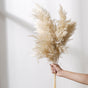 Pampas Grass For Decor - Natural and sustainable home decor products | Room decoration items