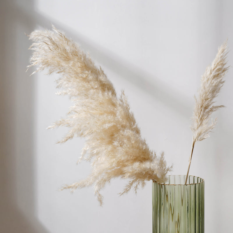 Pampas Grass For Decor - Natural and sustainable home decor products | Room decoration items