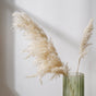 Pampas Grass For Decor - Natural and sustainable home decor products | Room decoration items