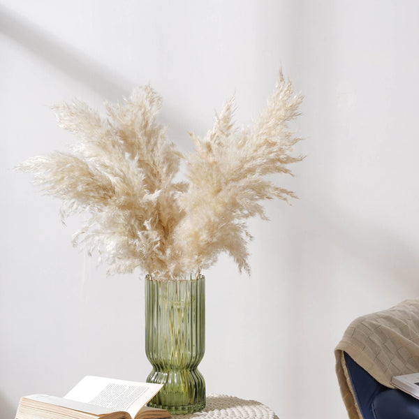 Pampas Grass For Decor