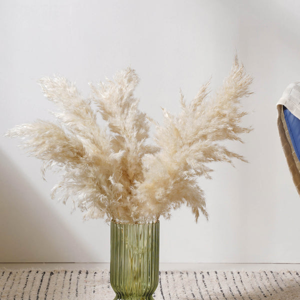 Pampas Grass For Decor