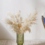 Pampas Grass For Decor - Natural and sustainable home decor products | Room decoration items