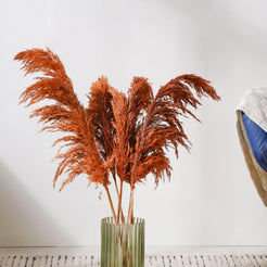 Pampas Grass For Vase - Natural and sustainable home decor products | Room decoration items