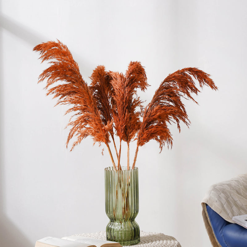 Pampas Grass For Vase - Natural and sustainable home decor products | Room decoration items