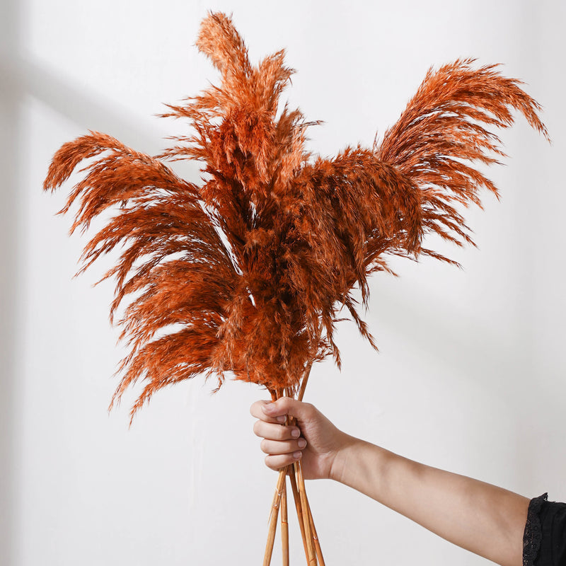 Pampas Grass For Vase - Natural and sustainable home decor products | Room decoration items