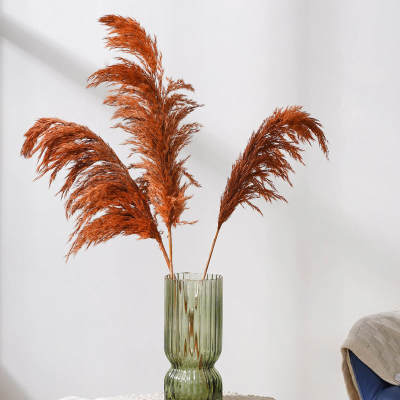 Pampas Grass For Vase - Natural and sustainable home decor products | Room decoration items