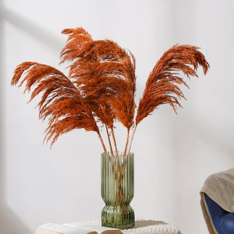 Pampas Grass For Vase - Natural and sustainable home decor products | Room decoration items