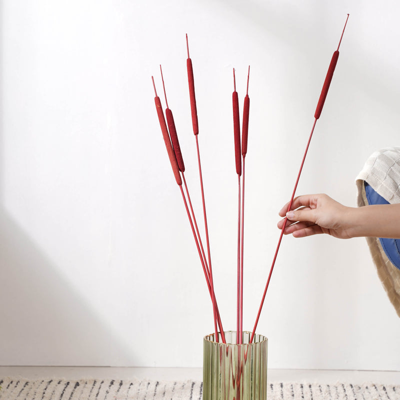 Cattail Stem Red - Dried flower decorative sticks | Ecofriendly and natural home decor items