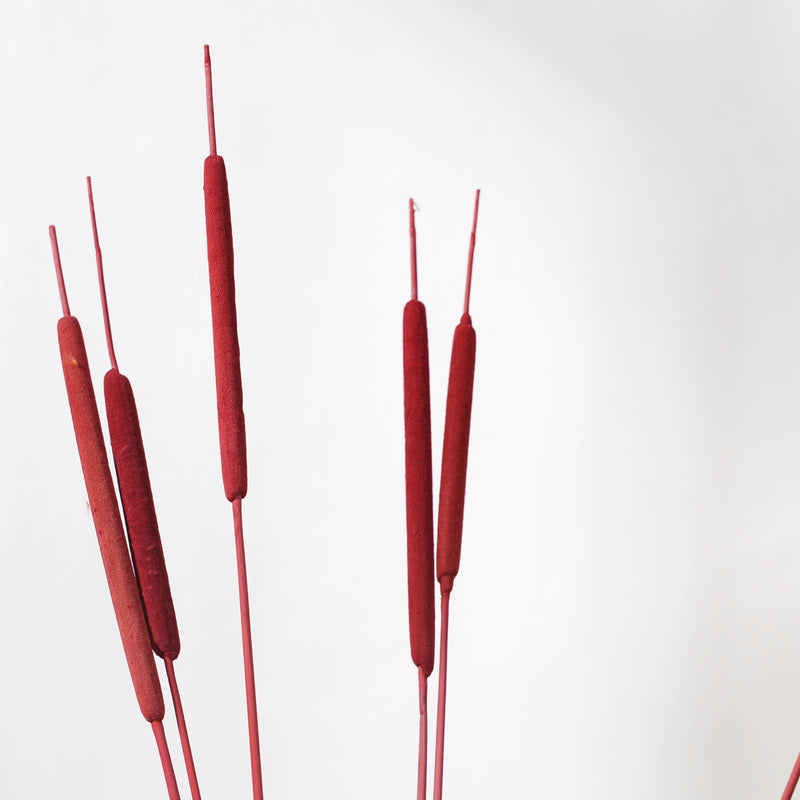 Cattail Stem Red - Dried flower decorative sticks | Ecofriendly and natural home decor items