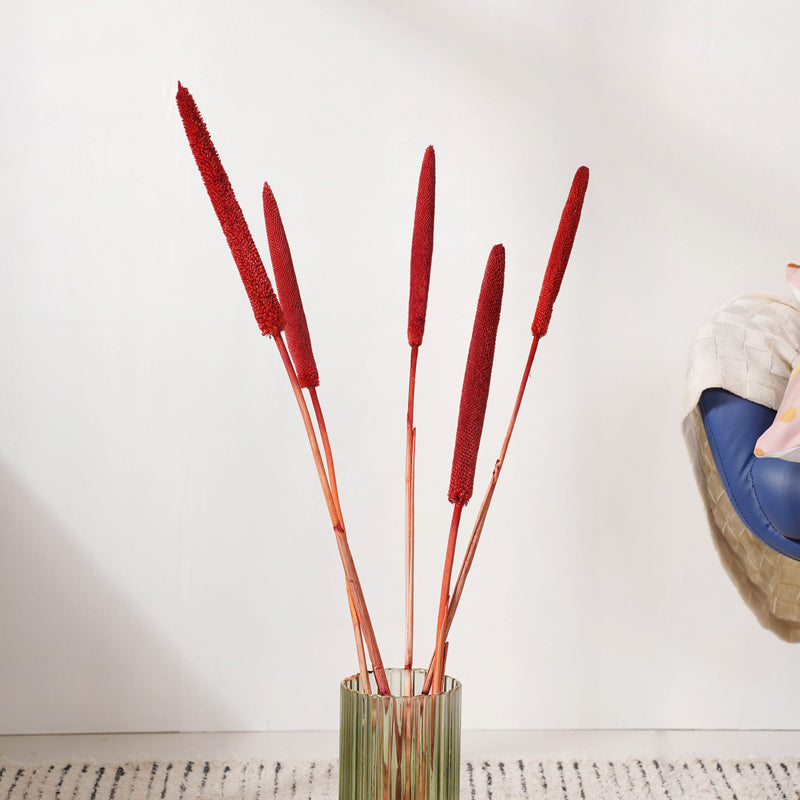 Millet Stem Red - Natural and sustainable decorative flowers | Room decoration items