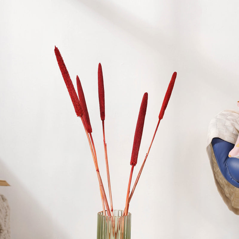 Millet Stem Red - Natural and sustainable decorative flowers | Room decoration items
