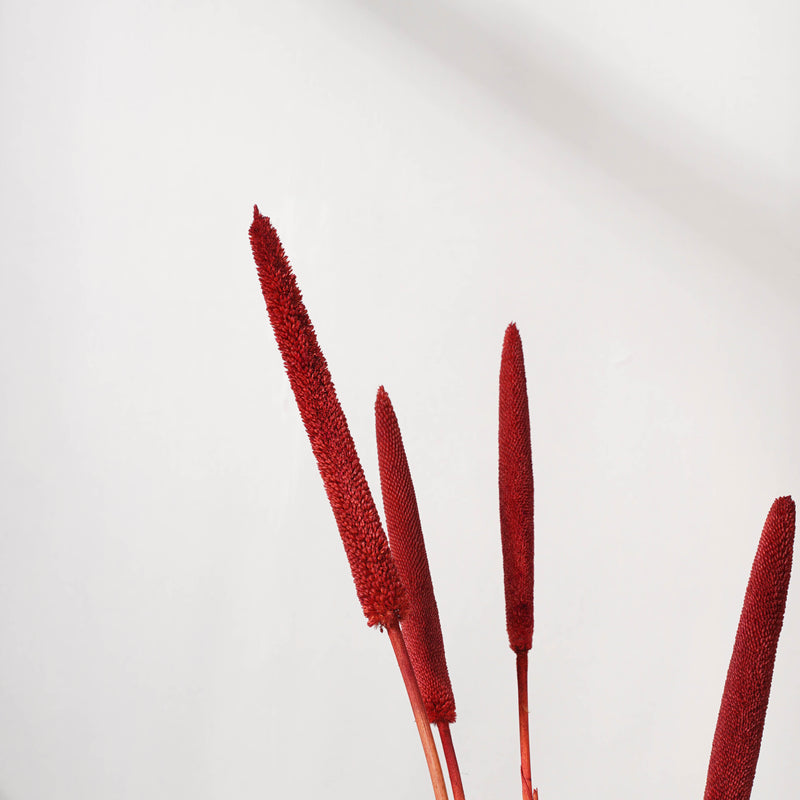 Millet Stem Red - Natural and sustainable decorative flowers | Room decoration items